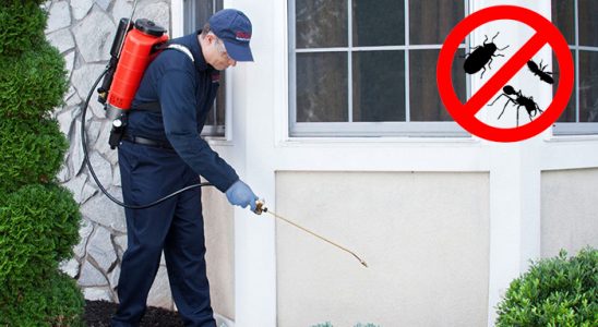 Erfelek Fare İlaçlama böcek ilaçlama ve haşere kontrolü — ilaclama-tr.com